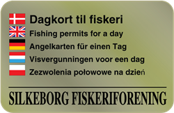 Dagkort til fiskeri